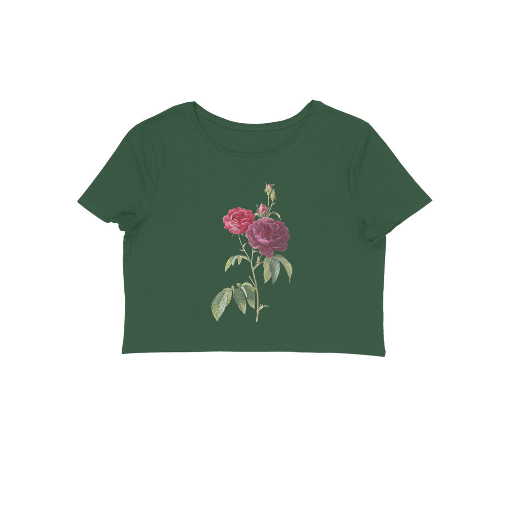 Front View - 5900268