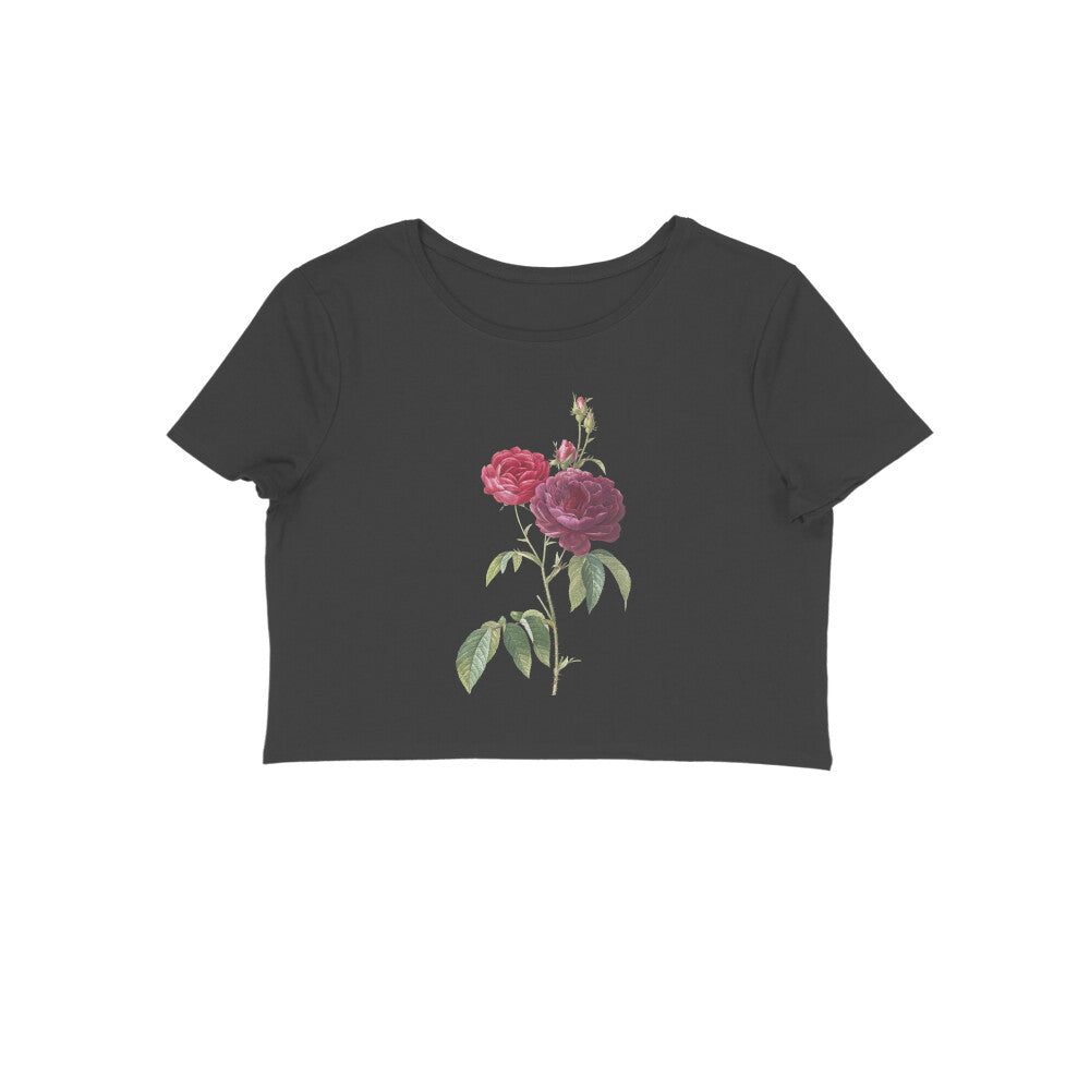 Front View - 5900270