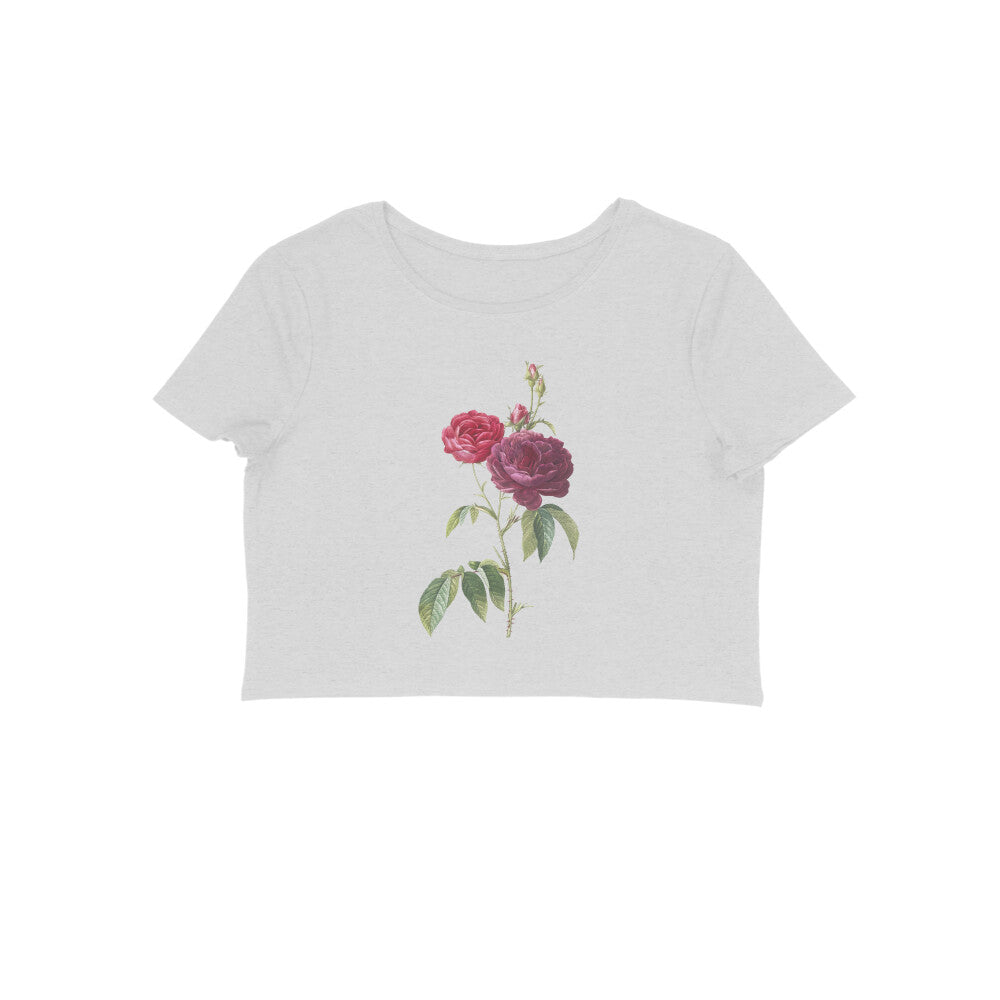 Front View - 5900273