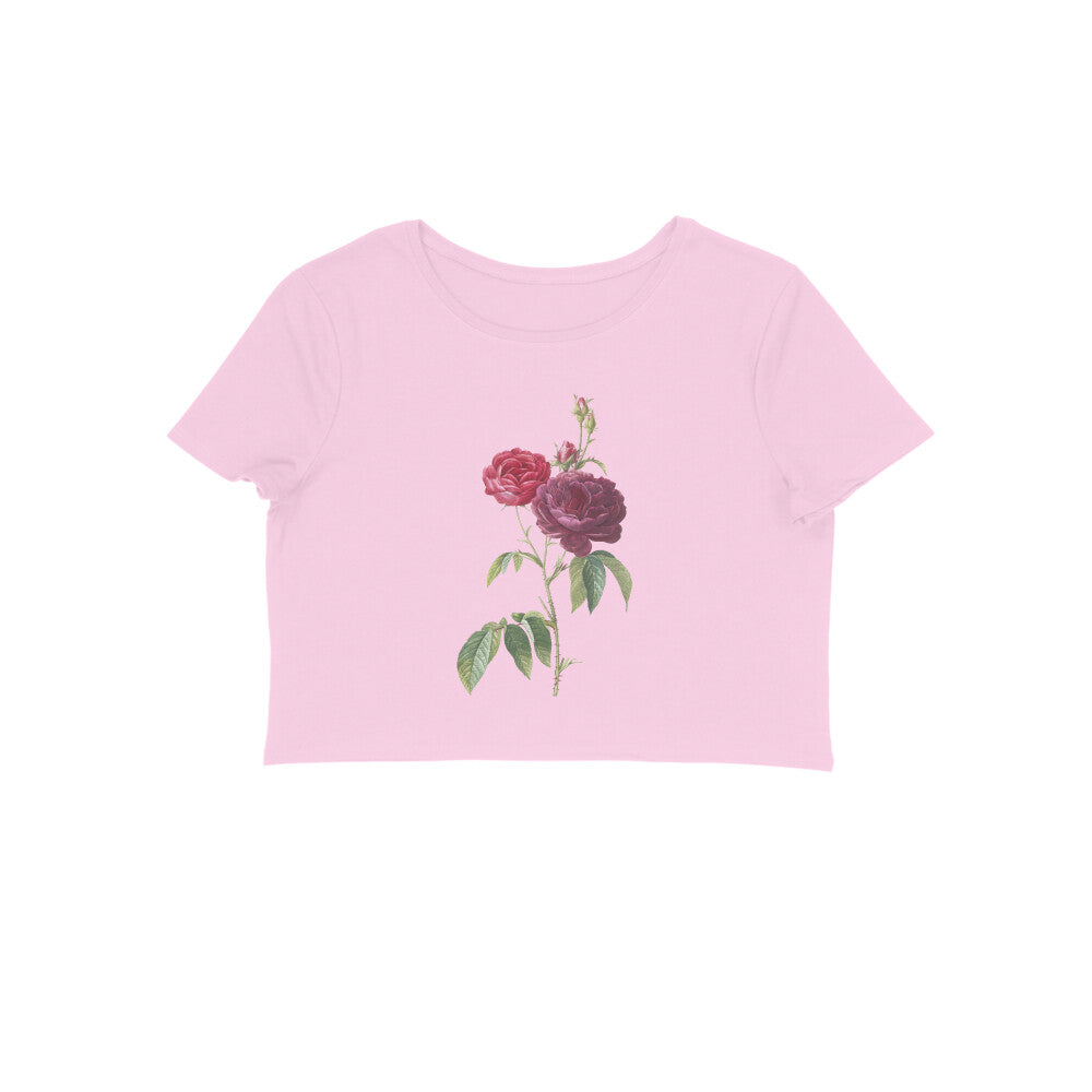 Front View - 5900272